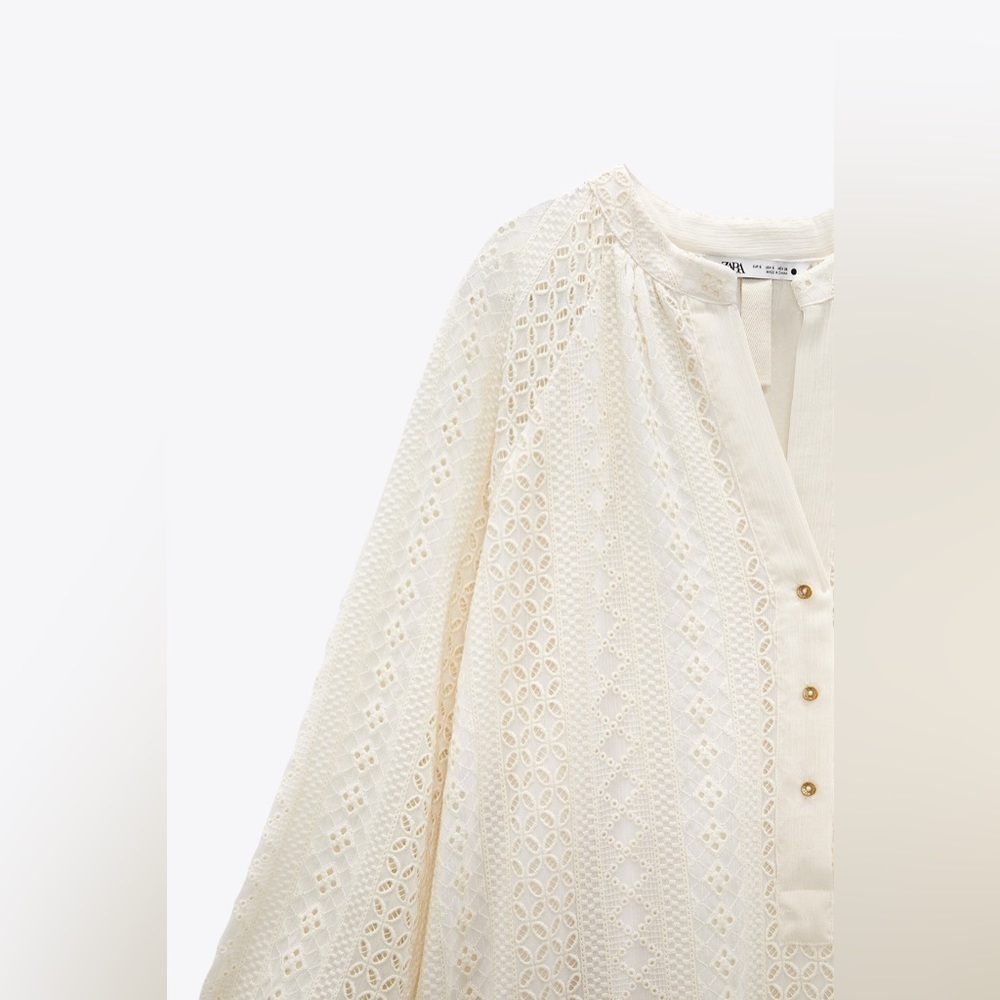 Zara Openwork Embroidery Dress - Picture 8 of 11